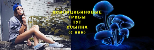сатива Баксан