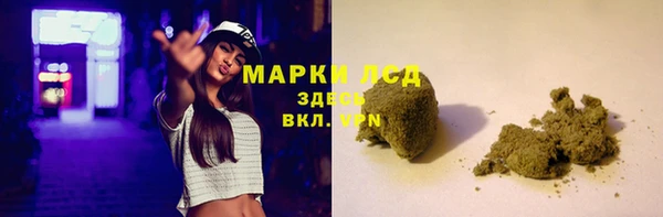 сатива Баксан