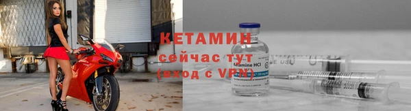 сатива Баксан
